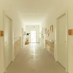 Le Grotte 兰佩杜萨